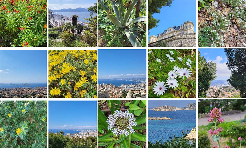 Fascicle 5, Livre III – mai 2025 La vie&nbsp;continue