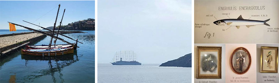 image of a boat at the Collioure dock, a ship out at sea, and an engraving of an anchovy fish
